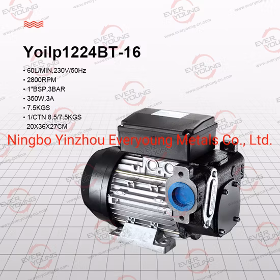 CE Certificate Fuel Transfer Pump Panther 72 AC Diesel Pump 220V 500W 1" Bsp 72L/Min Mobile Refueling Self Priming Electric Diesel Pump Vane Pump