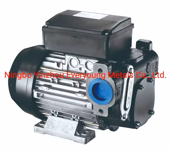 CE Certificate Fuel Transfer Pump Panther 72 AC Diesel Pump 220V 500W 1" Bsp 72L/Min Mobile Refueling Self Priming Electric Diesel Pump Vane Pump