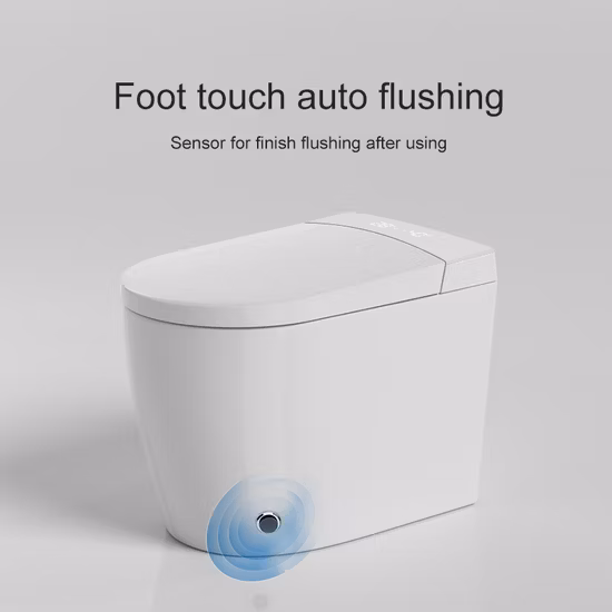 2023 Chaozhou Sanitary Ware S-Trap Water Saving One Piece Siphonic Toilet with Slow Down Seat Cover White Color Household Water Closet