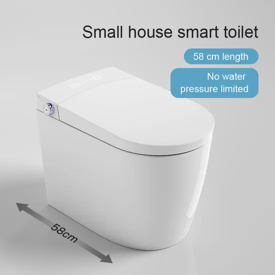 2023 Chaozhou Sanitary Ware S-Trap Water Saving One Piece Siphonic Toilet with Slow Down Seat Cover White Color Household Water Closet