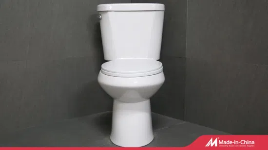 중국 위생 도자기 상위 10개 브랜드 광저우 Upflush 만든 화장실 세트 앉아