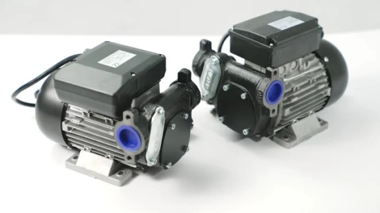 CE 인증서 연료 이송 펌프 Panther 72 AC 디젤 펌프 220V 500W 1 